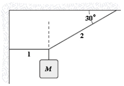 If M = 2.0 kg, what is the tension in string 1?   A) 1.2 N B) 11 N C) 34 N D) 3.5 N E) 40 N