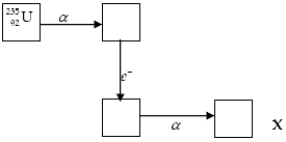 The chart below shows part of the radioactive series beginning with the isotope .The isotope marked with an X is:     A)    B)    C)    D)    E)   