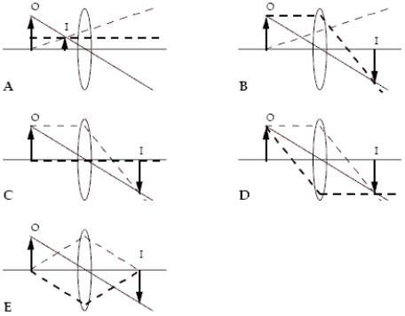 Which ray diagrams are correct? The three rays in each diagram are distinguished by different types of lines.Hint: Check the behaviour of each ray as it interacts with the lens.   A) B and C B) C and D C) D and E D) C and E E) C, D and E