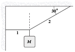 If M = 2.0 kg, what is the tension in string 1?   A) 1.2 N B) 11 N C) 34 N D) 3.5 N E) 40 N