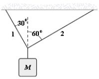 If M = 6.0 kg, what is the tension in string 1?   A) 39 N B) 34 N C) 29 N D) 44 N E) 51 N