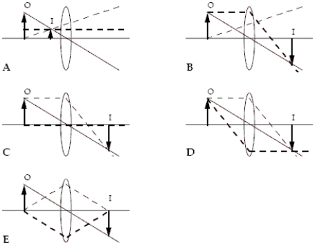 Which ray diagrams are correct? The three rays in each diagram are distinguished by different types of lines. Hint: Check the behavior of each ray as it interacts with the lens.   A) B and C B) C and D C) D and E D) C and E E) C, D and E