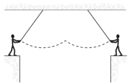 Two circus clowns (each having a mass of 50 kg)  swing on two flying trapezes (negligible mass, length 25 m)  shown in the figure. At the peak of the swing, one grabs the other, and the two swing back to one platform. The time for the forward and return motion is ​   ​ A) 10 s. B) 50 s. C) 15 s. D) 20 s. E) 25 s.