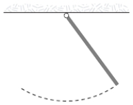 A uniform rod (mass m = 1.0 kg and length L = 2.0 m)  pivoted at one end oscillates in a vertical plane as shown below. The period of oscillation (in s)  is approximately ​   ​ A) 4.0. B) 1.6. C) 3.2. D) 2.3. E) 2.0.