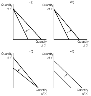 Graph 22-2   -Refer to Graph 22-2.Which of the graphs shown reflects an increase in the price of good Y? A) A B) B C) C D) D