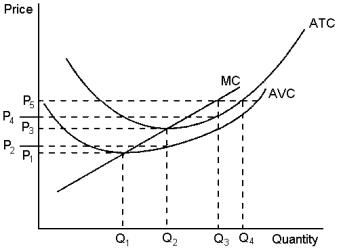 Graph 14-5   The graph depicts the cost structure of a firm in a competitive market.Use the graph to answer the following question(s) . -Refer to Graph 14-5.When market price is P₂, a profit-maximising firm's losses can be represented by the area: A) (P₃ - P₂)  * Q₂ B) (P₂ - P₁)  * Q₂ C) at a market price of P₂, the firm does not have losses D) at a market price of P₂, the firm has losses, but the reference points in the graph don't identify the losses