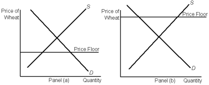 Graph 6-6   -According to Graph 6-6, in panel b, at the actual price there will be: A) cheaper wheat for consumers B) equilibrium in the market C) a surplus of wheat D) rationing of demand with long waiting lines