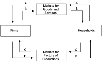 Graph 2-2   -Refer to Graph 2-2.In the circular-flow diagram shown, which arrow shows the flow of spending by households? A) A B) B C) C D) D