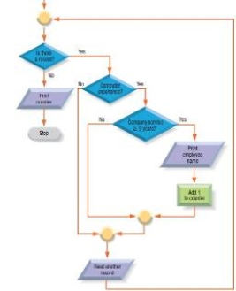   -The accompanying figure shows a portion of a(n) ____________________.