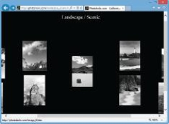   -As shown in the accompanying figure, when a Web page requires a very large image (such as to better show a product, home for sale, or featured piece of art, for instance) , a(n)  ____ can be used to save loading time. A)  thumbnail image B)  button image C)  icon image D)  sample image