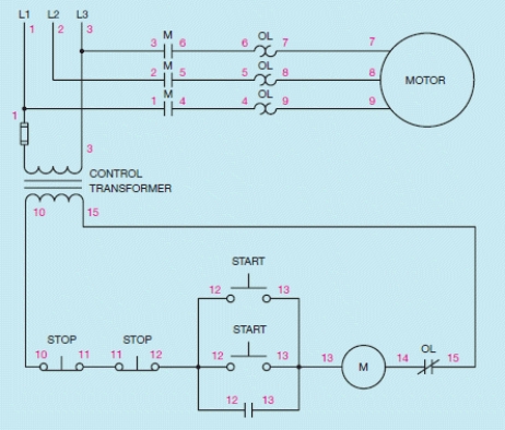 Figure 8-4    -What type of diagram is shown in the accompanying figure? What are the numbers which are shown called?