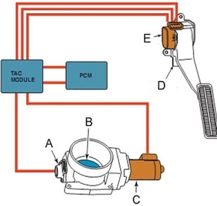 Identify the throttle position sensor assembly in this diagram.   A)  A B)  B C)  C D)  D E)  E