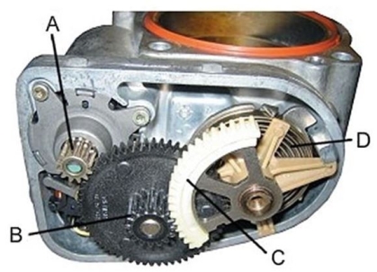 Which component in this photograph is the drive (motor)  gear?   A)  A B)  B C)  C D)  D