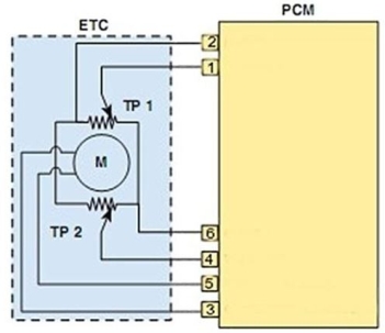 In this diagram, which terminals are used for the TP sensors?   A)  1, 2, 3, 4 B)  3, 5 C)  3, 5, 4, 6 D)  1, 2, 4, 6