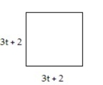Solve the problem. -Determine a polynomial that represents the area of the figure.   A)  6   + 12t + 4 B)  9   + 4 C)  9   + 6t + 4 D)  9   + 12t + 4