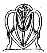 Who designed this chair back?   A)  Chippendale B)  Adam C)  Hepplewhite D)  Sheraton