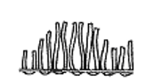 <strong>Match the following: -Level loop</strong> A) B) C) D) E) ? F)