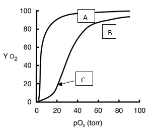 <strong>The graph to the right, where YO2 represents %O2 saturation, will be used for the following questions    -Plot ___ is ___ and represents ___</strong> A) A; hyperbolic; myoglobin B) B; sigmoidal; hemoglobin C) B; hyperbolic; hemoglobin D) A; sigmoidal; hemoglobin E) Both A and B <div style=padding-top: 35px> 