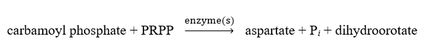 Which of the following is correct regarding pyrimidine synthesis? A)    B)    C)    D)  A and C E)  None of the above