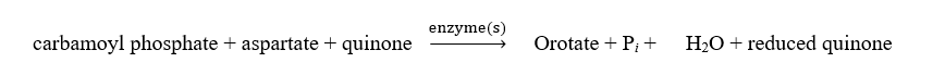 Which of the following is correct regarding pyrimidine synthesis? A)    B)    C)    D)  A and C E)  None of the above