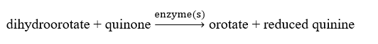 Which of the following is correct regarding pyrimidine synthesis? A)    B)    C)    D)  A and C E)  None of the above