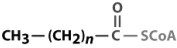 <strong>Considering the figure below, what compound would be formed by action of acyl-CoA dehydrogenase?  </strong> A)   B)   C)   D)   E)   <div style=padding-top: 35px> 