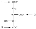 <strong>Given the following structure of isocitrate, the carbon labeled _____ is lost as CO<sub>2</sub> by isocitrate dehydrogenase, and the carbon labeled _____ is lost as CO<sub>2</sub> by \alpha -ketoglutarate dehydrogenase. </strong> A) 1; 2 B) 2; 1 C) 1; 3 D) 3; 1 E) 2; 3