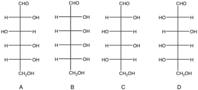 Which of the monosaccharides seen below are L sugars?   A)  A and B B)  A and C C)  B and C D)  C and D E)  A, B and C