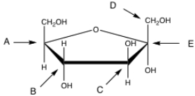 In the following structure, which carbon is the anomeric carbon?   A)  A B)  B C)  C D)  D E)  E