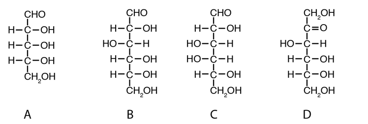 Describe the properties, structures, and functions of the major categories of monosaccharides.   -Which structure(s)  shown in the figure above represent reducing sugar(s) ? A)  A B)  D C)  C and D D)  A, B, C, and D E)  A, B, and C