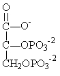 <strong>Which of the following compounds is used to produce ATP by substrate-level phosphorylation in glycolysis?</strong> A) B) C) D) E)
