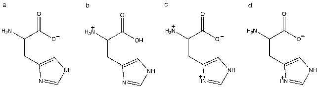 Which of the following structures shows the prevalent form of histidine at pH 5?   A)  a B)  b C)  c D)  d E)  none of the above