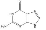 Which of the following bases pairs with guanine? A)    B)    C)    D)    E)   