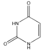 Which of the following bases pairs with guanine? A)    B)    C)    D)    E)   