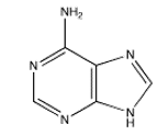 Which of the following bases is not present in RNA? A)    B)    C)    D)    E)   