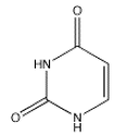 Which of the following bases is not present in RNA? A)    B)    C)    D)    E)   