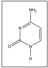 This is the structure of cytosine.      a. What are the names of the other three bases that are found in DNA? b. Is cytosine a purine or a pyrimidine?  c. Give the name and the one letter abbreviation of the base cytosine base-pairs (H-bonds) with in DNA. d. What is the name of the molecule composed of cytosine linked to ribose?  e. Indicate on the drawing through which atom cytosine is connected to ribose or deoxyribose  f. Indicate on the drawing which groups on cytosine are involved in base-pairing (H-bonding) with its complementary base
