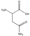 What functional groups are present in the following molecule?   A)  amine and carboxylic acid B)  amine, ketone, and carboxylic acid C)  amine, amide, and carboxylic acid D)  alcohol, amine, amide, and carboxylic acid E)  none of the above are correct