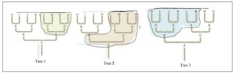 The three phylogenetic trees above all contain the same members, all have a common ancestor, but are divided up in three different ways. Which tree has members circled that are of several evolutionary lines and does not include the most recent common ancestor of the included lineages? What is this   type of group is this? A)  Tree 3; polyphyletic. B)  Tree 2; polyphyletic. C)  Tree 1; monophyletic. D)  Tree 3; monophyletic. E)  Tree 2; paraphyletic.