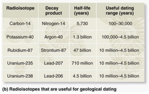 The age of a fossil can be estimated by analyzing the decay of radioisotopes within the accompanying rock. If you suspected a fossil was 100 million years old, which type of radioisotopes would you use to analyze the accompanying rock?    A)  Potassium-40/Argon-40 (half-life = 1.3 billion years; useful dating range =100,000-4.5 billion years)  B)  Rubidium-87/Strontium-87 (half-life = 47 billion years; useful dating range = 10 million-4.5 billion years)  C)  Uranium-235/Lead-207 (half-life = 710 million years; useful dating range = 10 million-4.5 billion years)  D)  Carbon-14/Nitrogen-14 (half-life = 5,730 years; useful dating range = 100-50,000 years)  E)  Uranium-238/Lead-238 (half-life 4.5 billion years; useful dating range = 10 million-4.5 billion years) 