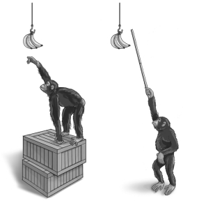   Refer to the figure above and then answer the question that follows. -The chimpanzees are manipulating boxes and pole sections to reach bananas suspended above their heads. What type of behavior is this? A)  insight learning B)  instinct C)  altruism D)  imprinting E)  habituation