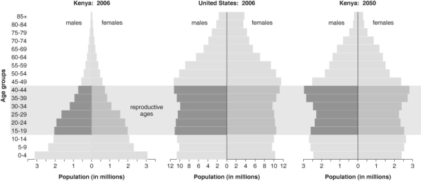   Refer to the figure above and then answer the question that follows. -In many developing countries, the population pyramid is broad at the base and narrow at the top. What does this indicate? A)  That growth is arithmetic. B)  That there are few, if any, density-dependent factors affecting population size. C)  That fertility is increasing. D)  That there are more young individuals than post-reproductive individuals.
