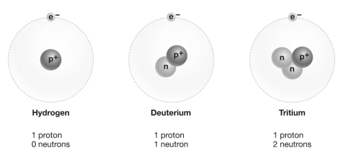   Refer to the figure above and then answer the question that follows. -Consider carbon-12, carbon-13, and carbon-14 (the numbers indicate atomic mass) . Which of these forms of carbon is an isotope? A)  carbon-12 B)  carbon-13 C)  carbon-14 D)  None are isotopes. E)  All are isotopes.