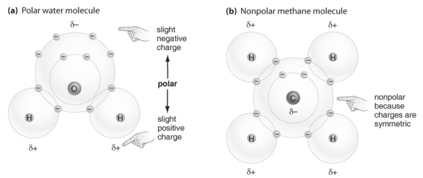   Refer to the figure above and then answer the question that follows. -In what ways are hydrogen bonds and ionic bonds similar? A)  Both are based on attraction between atoms that carry differences in electrical charge. B)  Both involve an even sharing of electrons between atoms. C)  Both are based on attraction between two atoms that each carry a positive charge. D)  Both are based on repulsion between atoms that carry differences in electrical charge. E)  Both are based on attraction between two atoms that each carry a negative charge.