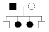 <strong>The presence or absence of hair on the mid-digital region of a finger is determined by a single autosomal gene. The presence of hair is dominant to the absence of hair. In the pedigree below, shading represents the presence of mid-digital hair. If the parents have a 5th child, what is the probability that it will be female and have mid-digital hair?</strong> A) 1/2 B) 3/4 C) 1/8 D) 1/4. E) 2/3