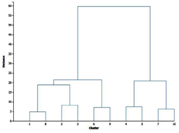 Using the following dendrogram created by using the k-means method, identify the number k was given to form the clusters present.   A)  5 B)  8 C)  9 D)  10