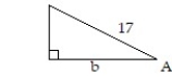 Use the inverse trig functions to express the angle in terms of the indicated unknown side. -  Express angle A in terms of b. Use one of the inverse trig functions   ,   , or   . A)  A =      B)  A =      C)    A =     D)   A =    