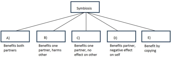 The chart below provides brief definitions for five types of symbiosis discussed in this chapter. From the following options, choose which corrrectly matches each type of symbiosis with its definition.   A)  A)  Mutualism; B)  Parasitism; C)  Commensalism; D)  Altruism; E)  Mimicry B)  A)  Mutualism; B)  Commensalism; C)  Parasitism; D)  Altruism; E)  Mimicry C)  A)  Commensalism; B)  Mutualism; C)  Parasitism; D)  Altruism; E)  Mimicry D)  A)  Commensalism; B)  Mutualism; C)  Altruism; D)  Parasitism; E)  Mimicry