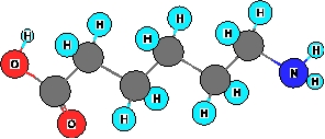 What functional groups are present in the ball and stick model shown below?   I. amine II. Alcohol III. carboxylic acid IV. Ketone V. thiol A)  I and IV B)  I and II C)  I and V D)  I and III E)  III only 