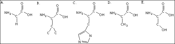 Use the following amino acid structures to answer questions     -Sketch the sequence of the amino acid sequence, B-D-B-E, made via condensation reactions.